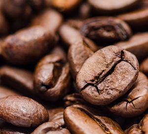 up close coffee beans