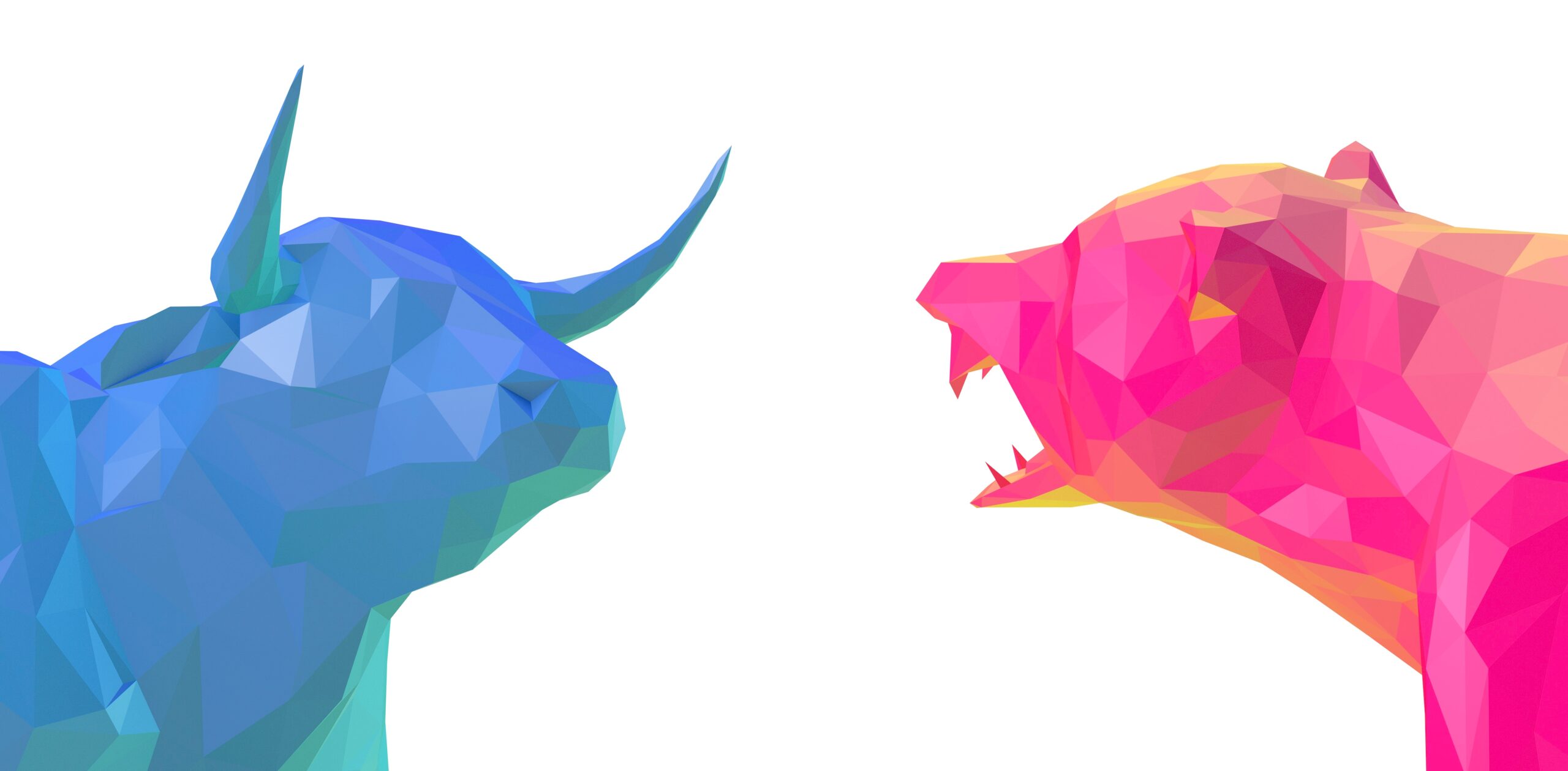 Bull and Bear market