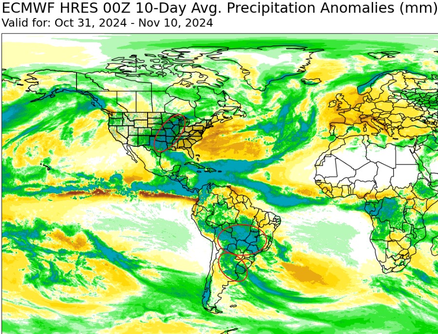 Global Precip Map