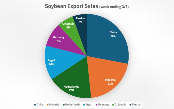 Soybean Export Sales Chart
